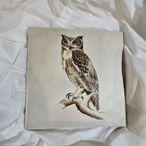 vintage cottagecore boho owl tile decor